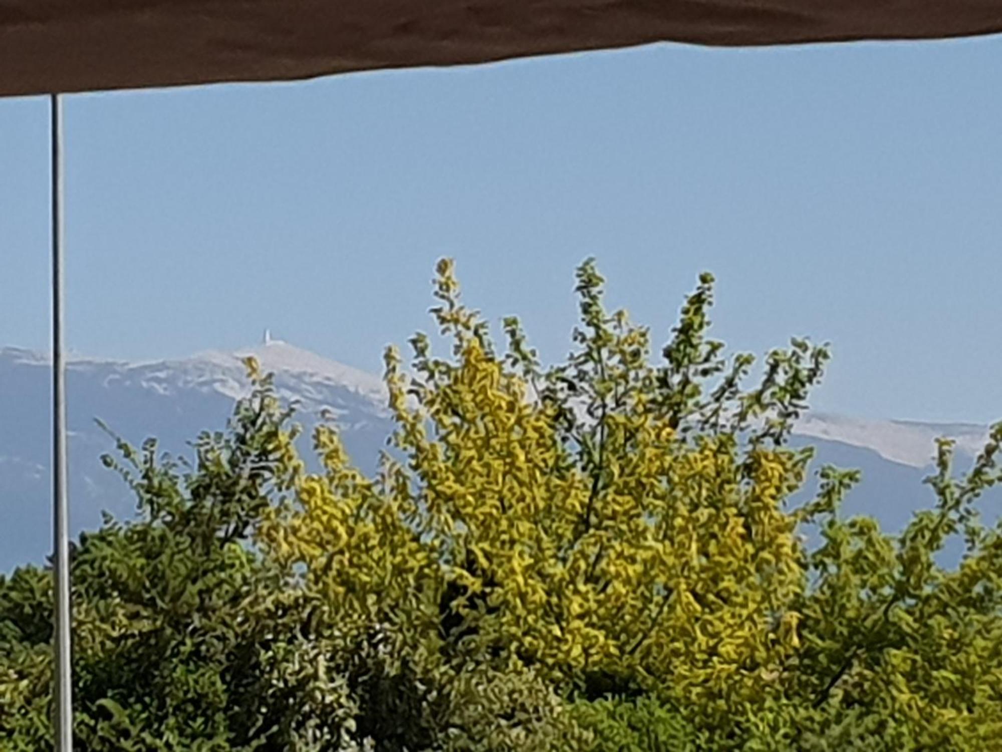 Pura Vida Hotell Mazan Eksteriør bilde